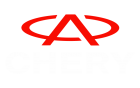 Принт Chery вариант 2