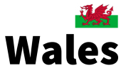 Принт Wales вариант 1