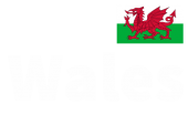 Принт Wales вариант 2