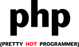 Принт Pretty hot programmer вариант 1