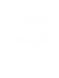 Принт Seat вариант 1