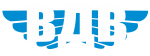 Принт ВДВ вариант 1