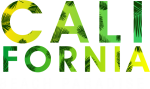 Принт Beach paradise вариант 1