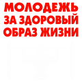 Принт Молодежь вариант 2