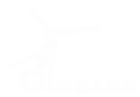 Принт Gimbarr вариант 2