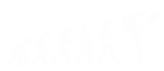 Принт Эволюция Тхэквондо вариант 2