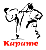 Принт Karate fight вариант 1