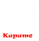 Принт Karate fight вариант 2