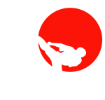 Принт Karate man 2 вариант 2