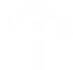 Принт Taekwondo 2 вариант 2
