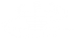 Принт Streetworkout Ukraine вариант 2