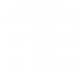 Принт ХУВС вариант 1