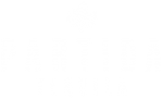Принт Partida вариант 2