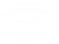 Принт ДААТ вариант 3