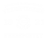 Принт ДНТУ вариант 3
