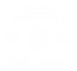 Принт ЛНУ eng вариант 1