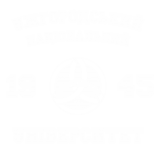 Принт УНУ вариант 1