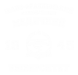 Принт ІФНМУ вариант 1