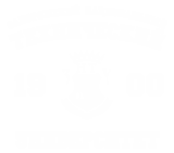 Принт ЗНТУ вариант 1