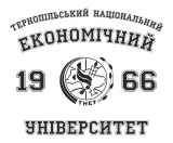 Принт ТНЕУ вариант 2