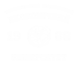 Принт ТНЕУ вариант 3