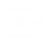 Принт ТНЕУ eng вариант 3