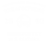Принт ТНПУ вариант 1