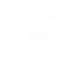 Принт ТНТУ вариант 3