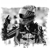 Принт Sebastian Vettel вариант 2