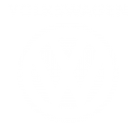 Принт Volkswagen logo 2 вариант 2