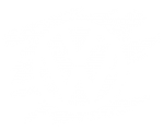 Принт Volkswagen logo New вариант 2