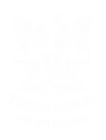 Принт Train hard 2 вариант 1