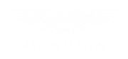 Принт Aston Martin logo вариант 1