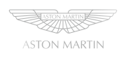 Принт Aston Martin logo вариант 4