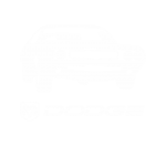 Принт Dodge вариант 1