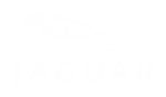 Принт Jaguar logo вариант 1