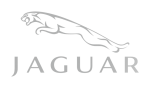 Принт Jaguar logo вариант 2