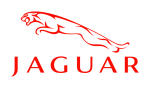 Принт Jaguar logo вариант 3