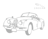 Принт Jaguar вариант 2