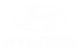 Принт Hyundai logo вариант 1