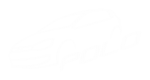 Принт Volkswagen Polo logo вариант 1