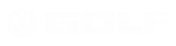 Принт Volkswagen Golf logo вариант 1