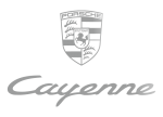 Принт Porsche Cayenne logo вариант 2