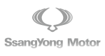 Принт SsangYong Motor вариант 2