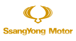 Принт SsangYong Motor вариант 3