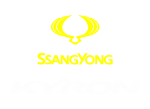 Принт SsangYong Kyron вариант 1