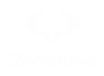 Принт SsangYong logo вариант 1