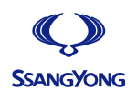 Принт SsangYong logo вариант 2