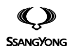 Принт SsangYong logo вариант 3