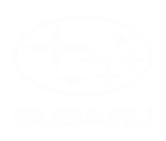 Принт Subaru logo вариант 2